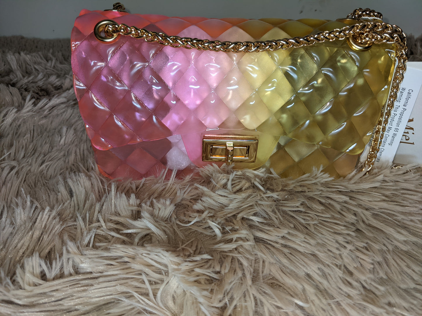 Ombre Jelly purse - GahdessBoutique